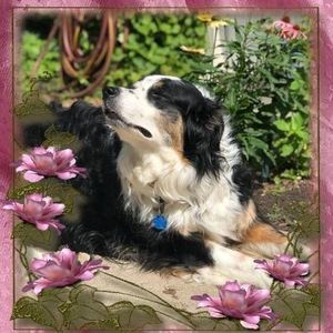 Meet your Posher, Jocie